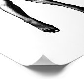 Poster Gravité suspendue (Coin)