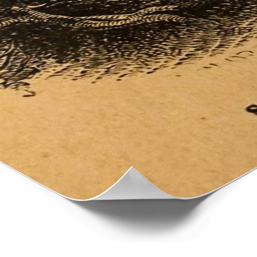 Poster Gravure d'antiquité San Francisco (Coin)