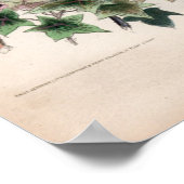 Poster Gravures botaniques, décembre (Coin)