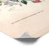 Poster Gravures botaniques, juillet (Coin)