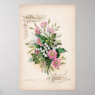 Poster Gravures botaniques, juin