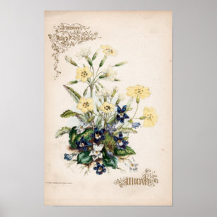 Poster Gravures botaniques, mars