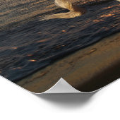 Poster Gray Andalucien Courant Sur La Plage En Mer (Coin)