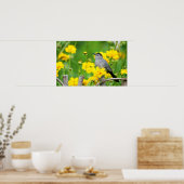 Poster Gray Catbird on wooden fence (Cuisine)