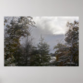 Poster Gray Day Beauté (Devant)