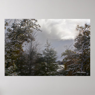 Poster Gray Day Beauté