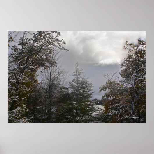 Poster Gray Day Beauté (Devant)