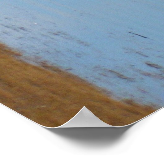 Poster Gray seabe gauche (Coin)