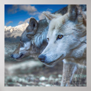 Poster Gray Wolf SENTINELS