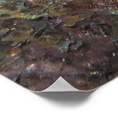 Poster Graysby (Coin)