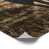 Poster Grayson Highlands State Park Virginia Watercolor (Coin)