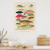 Poster Great barrier reef fish of Australia (Cuisine)