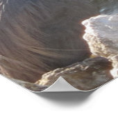 Poster Great Blue Heron by the Water (Coin)