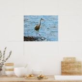 Poster Great Blue Heron Standing in the Water  (Cuisine)
