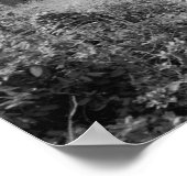 Poster Great Chimney House (Coin)