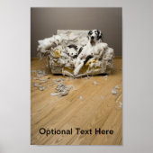 Poster Great Dane (Devant)