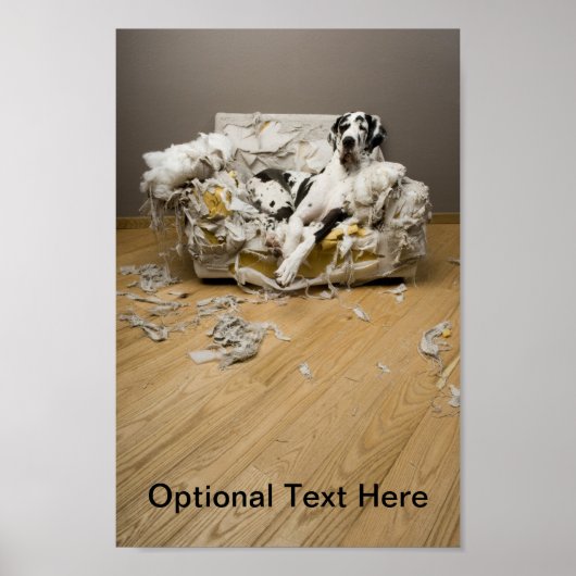 Poster Great Dane (Devant)