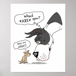 Poster Great Dane & Chihuahua Mantle