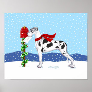 Poster Great Dane Christmas Mail Harlequin UC