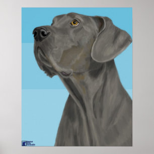 Poster Great dane gris recherchant sur l'arrière - plan