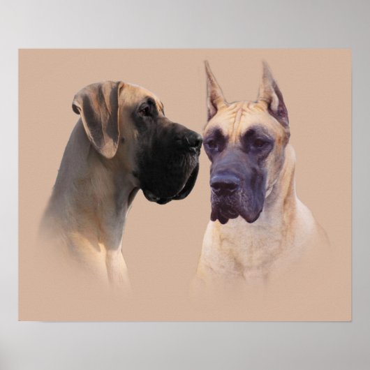 Poster Great Dane King of Dogs Imprimer (Devant)