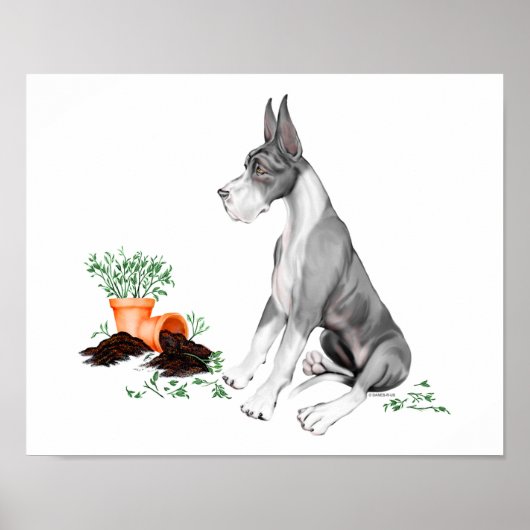 Poster Great Dane Naughty Pup Mantle (Devant)