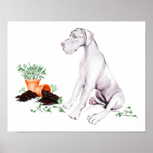 Poster Great Dane Naughty Pup White UC