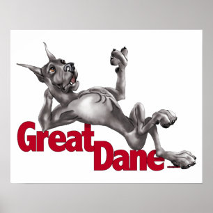 Poster Great dane s'est remis le noir