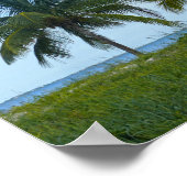 Poster Great Egret, Treasure Cay, Great Abaco Island (Coin)