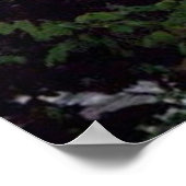 Poster Great Falls (Coin)