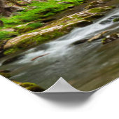 Poster Great Smoky Mountains National Park Caroline du No (Coin)