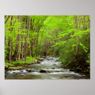 Poster Great Smoky Mountains National Park Caroline du No