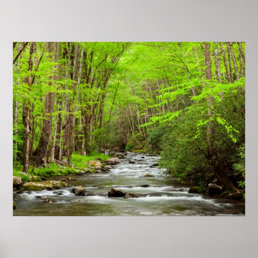Poster Great Smoky Mountains National Park Caroline du No (Devant)