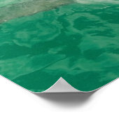 Poster Great White (Coin)