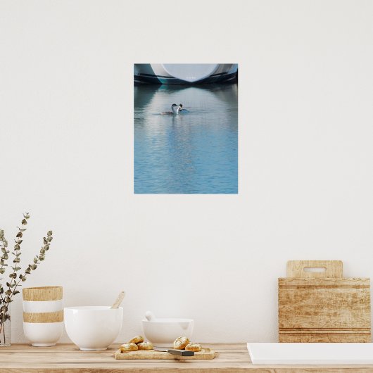 Poster - Grebes sur Calm Harbour (Cuisine)