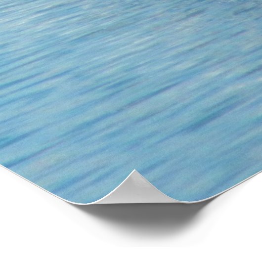 Poster - Grebes sur Calm Harbour (Coin)