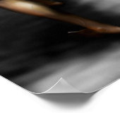 Poster GrecDieux-Zeus (Coin)