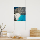 Poster GRÈCE, Îles ioniennes, ZAKYNTHOS, ÉPAVE (Cuisine)