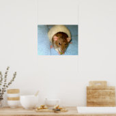 Poster Greedy Rat (Cuisine)