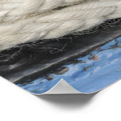 Poster Gréement de bateau (Coin)