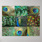 Poster Green Blue Peacock photo collage (Devant)