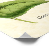 Poster Green Crowned Brillier Hummingbird Art Print (Coin)