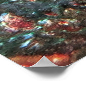 Poster Green et Red Wrasse (Coin)