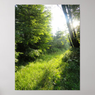 Poster Green Forest Meadow
