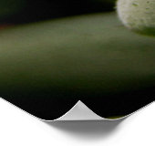 Poster Green Gems (Coin)