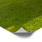 Poster Green Hills with Blue Skies and White Clouds (Coin)