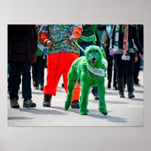 Poster Green Irish Wolfhound Dog St. Patrick's Day Parade (Devant)
