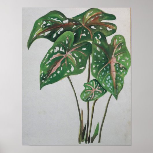 Poster Green Leaf Botanical Wall Art Print (Devant)