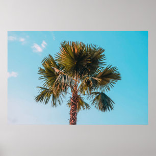 Poster Green palm tree