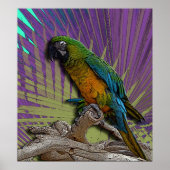 Poster Green Parrot (Devant)